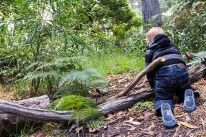 Kinder gehen Risiken ein um zu lernen und zu wachsen! Sie fragen stehts "was ist das und was ist jenes". SIe erweitern ständig ihr Wissen.